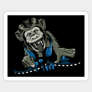 DJ Monkey Magnet